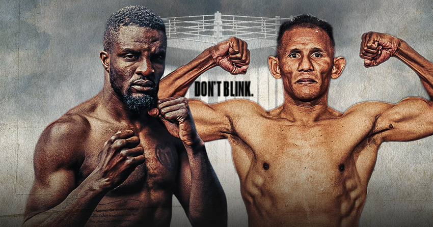 オハラ・デイヴィスの最後の戦い