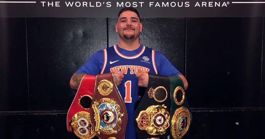 IBF、WBO、WBA（スーパー）、IBO世界チャンピオン、アンディ・ルイス・ジュニア